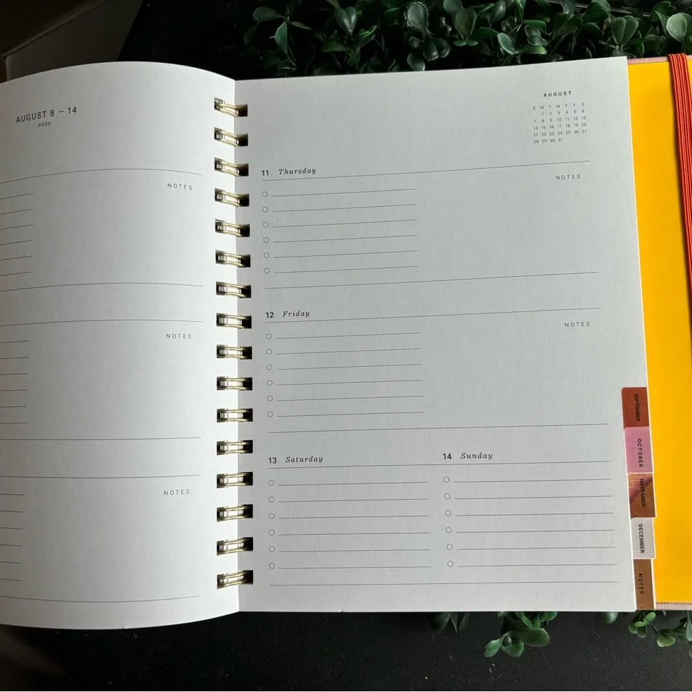 Anthropologie - Dated Planner